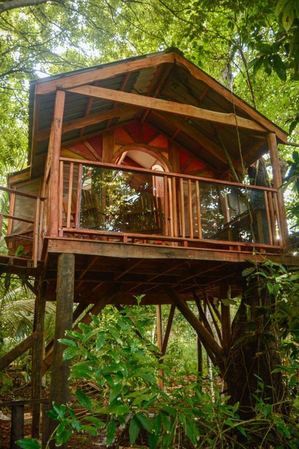 Tukulolo Treehouses Makaunga Kültér fotó