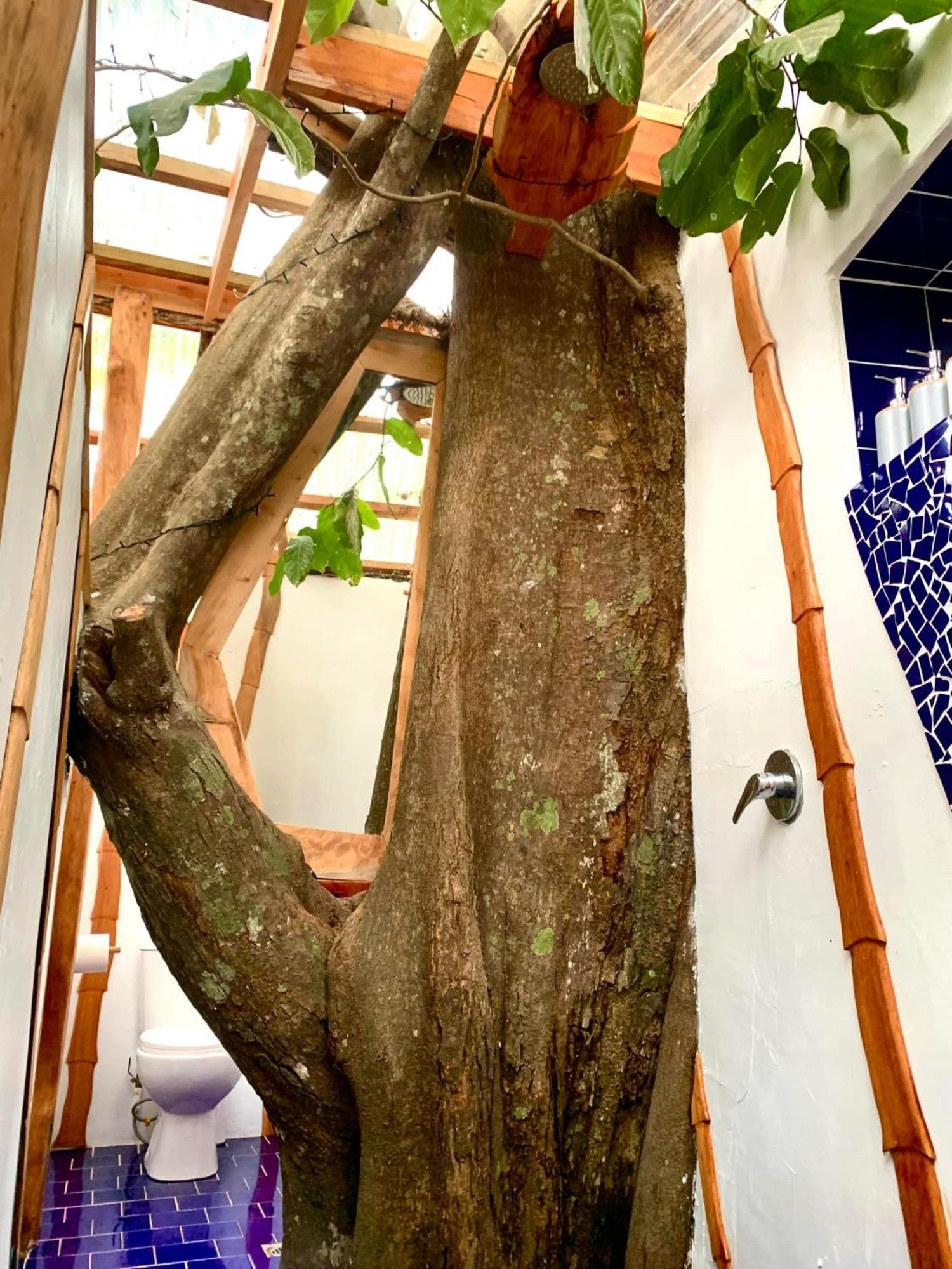 Tukulolo Treehouses Makaunga Kültér fotó