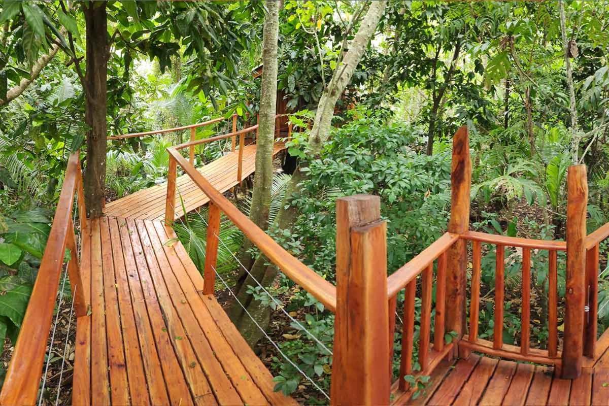 Tukulolo Treehouses Makaunga Kültér fotó
